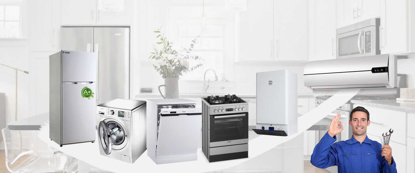 Zeytinalanı Smeg Servisi